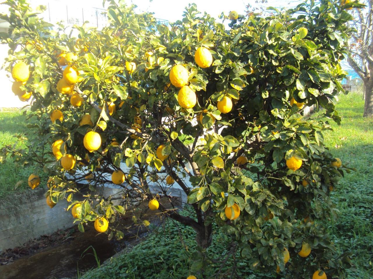 Villa Nostos Koróni Buitenkant foto