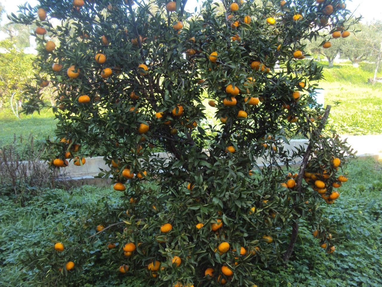 Villa Nostos Koróni Buitenkant foto